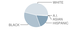 Mclaughlin Middle School Student Race Distribution