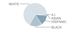 Lake Gibson Middle School Student Race Distribution