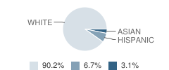 Englewood Elementary School Student Race Distribution