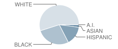 Fairlawn Elementary School Student Race Distribution