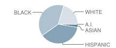 Lawnwood Elementary School Student Race Distribution