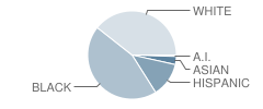 Frances K. Sweet Elementary School Student Race Distribution