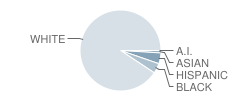 Branford High School Student Race Distribution