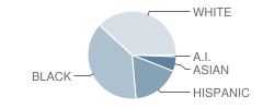 Ocoee High School Student Race Distribution