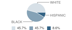 Alachua County Virtual School Student Race Distribution