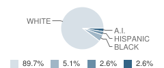 Virtual School Student Race Distribution