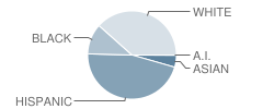 West Broward High School Student Race Distribution