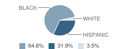 Young Men's Preparatory Academy Student Race Distribution