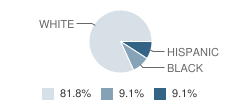 Escambia Virtual Academy Student Race Distribution