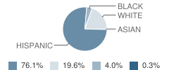 Hilltop Elementary School Student Race Distribution