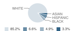 School District Virtual Instruction Program Student Race Distribution