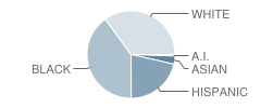 Wekiva High School Student Race Distribution