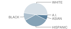 Moss Park Elementary School Student Race Distribution