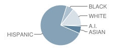 Flora Ridge Elementary School Student Race Distribution