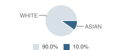 St. Johns Virtual K-8 School Student Race Distribution