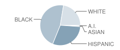 Samuel S. Gaines Academy K-8 Student Race Distribution