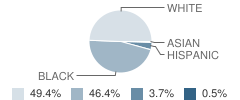 Rutland High School Student Race Distribution