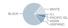 Tucker Middle School Student Race Distribution