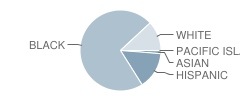 North Douglas Elementary School Student Race Distribution