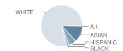 Riverwatch Middle School Student Race Distribution