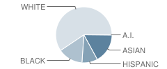 Cogburn Woods Elementary School Student Race Distribution