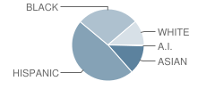 J. A. Alford Elementary School Student Race Distribution