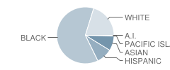 Dutchtown High School Student Race Distribution