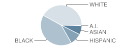 Flippen Elementary School Student Race Distribution