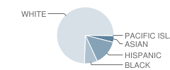 South Jackson Middle School Student Race Distribution