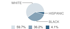 East Laurens Primary School Student Race Distribution