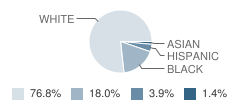 T.g. Scott Elementary School Student Race Distribution