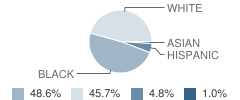 Carver Road Middle School Student Race Distribution