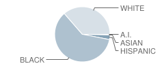 Kennedy Road Middle School Student Race Distribution