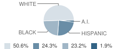 Lyons Upper Elementary School Student Race Distribution