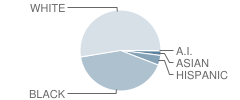 Gardner-Newman Middle School Student Race Distribution