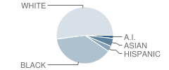 Mountville Elementary School Student Race Distribution