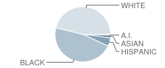 Whitesville Road Elementary School Student Race Distribution