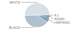 Ethel Kight Magnet Elementary School Student Race Distribution