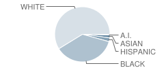 West Side Magnet School Student Race Distribution