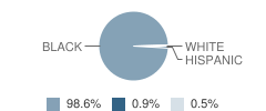Woodson Elementary School Student Race Distribution