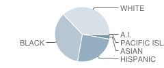 Sutton Middle School Student Race Distribution