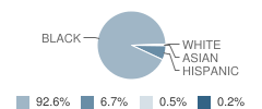 Hope Elementary School Student Race Distribution