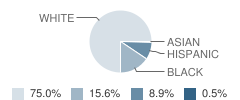 Bacon County Elementary School Student Race Distribution