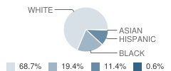 Bacon County Primary School Student Race Distribution