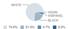 Bacon County High School Student Race Distribution