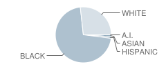 Baldwin High School Student Race Distribution