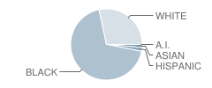 Oak Hill Middle School Student Race Distribution