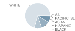 Russell Middle School Student Race Distribution