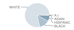 Berrien Middle School Student Race Distribution