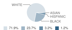 Bleckley County Middle School Student Race Distribution